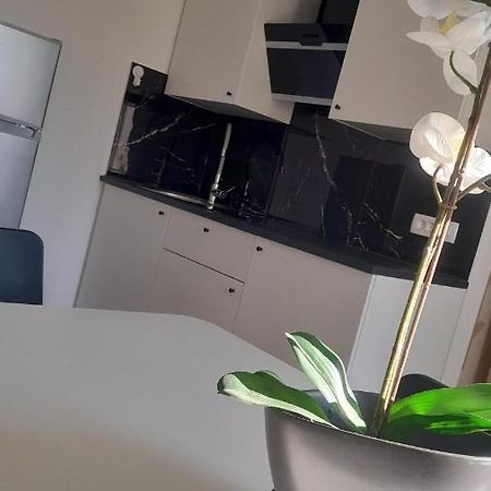 Apartma Ana 코페르 외부 사진
